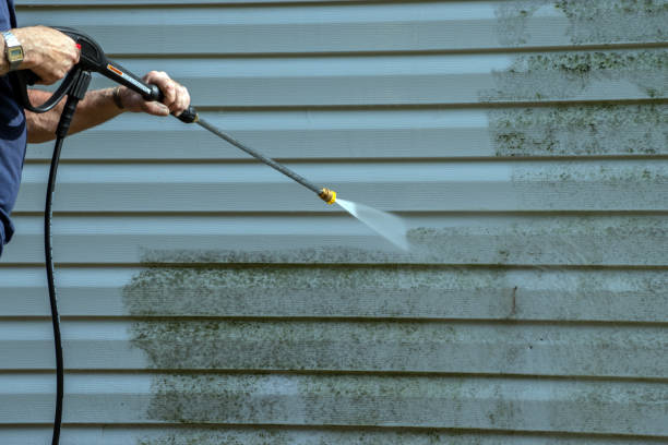 Best Sidewalk and Walkway Cleaning  in Yutan, NE